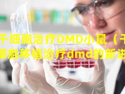 干细胞治疗DMD小鼠（干 🌻 细胞移植治疗dmd的新进展）